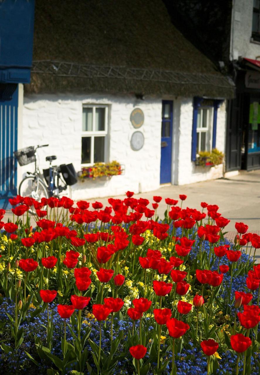 The Redbank Guesthouse Skerries Zewnętrze zdjęcie